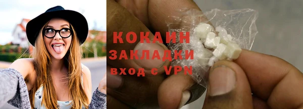 PSILOCYBIN Ельня