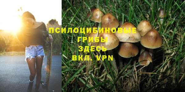 хмурый Елизово