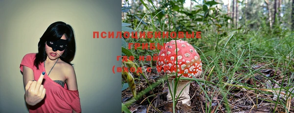 ГАЛЛЮЦИНОГЕННЫЕ ГРИБЫ Алексеевка